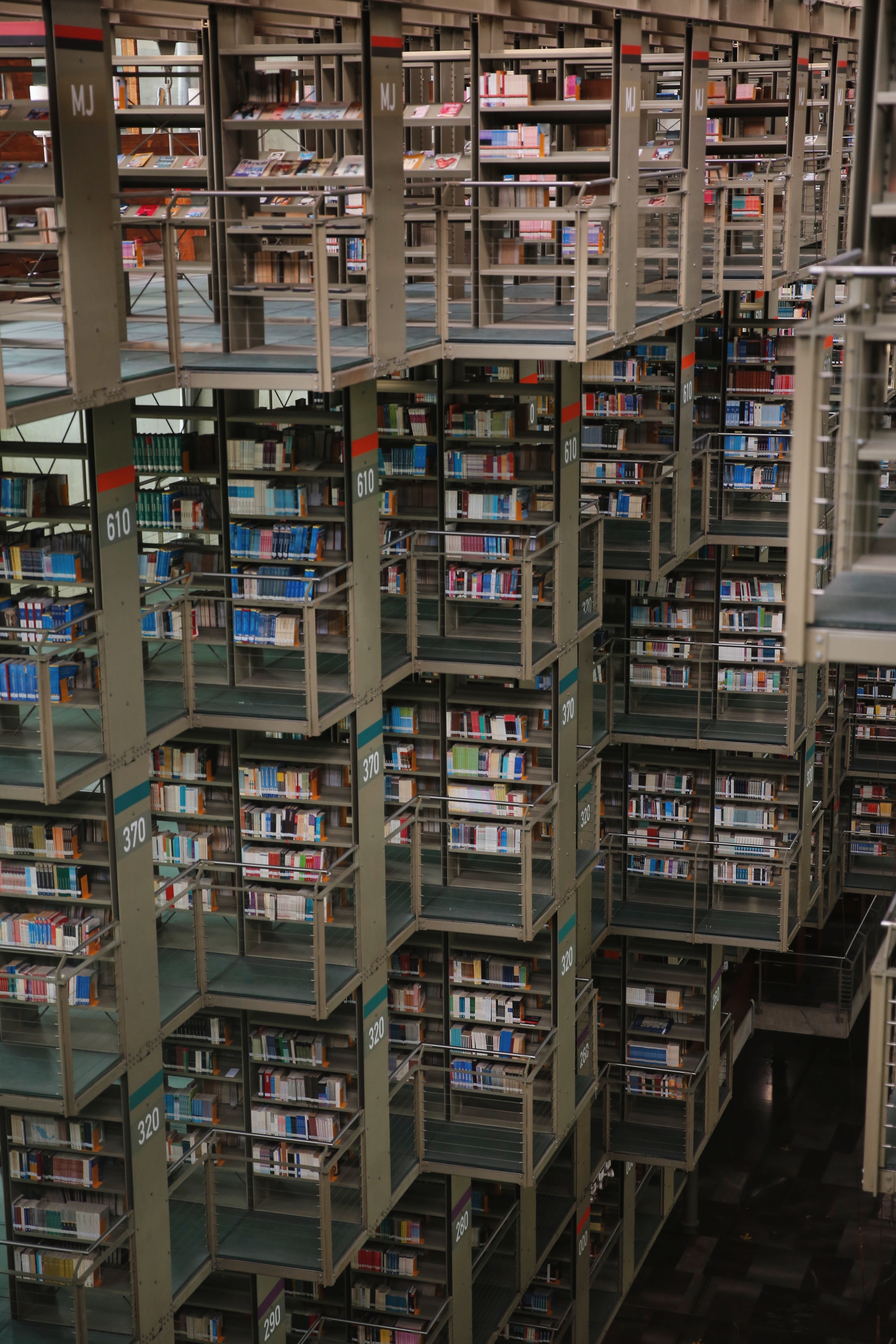 BIBLIOTECA VASCONCELOS