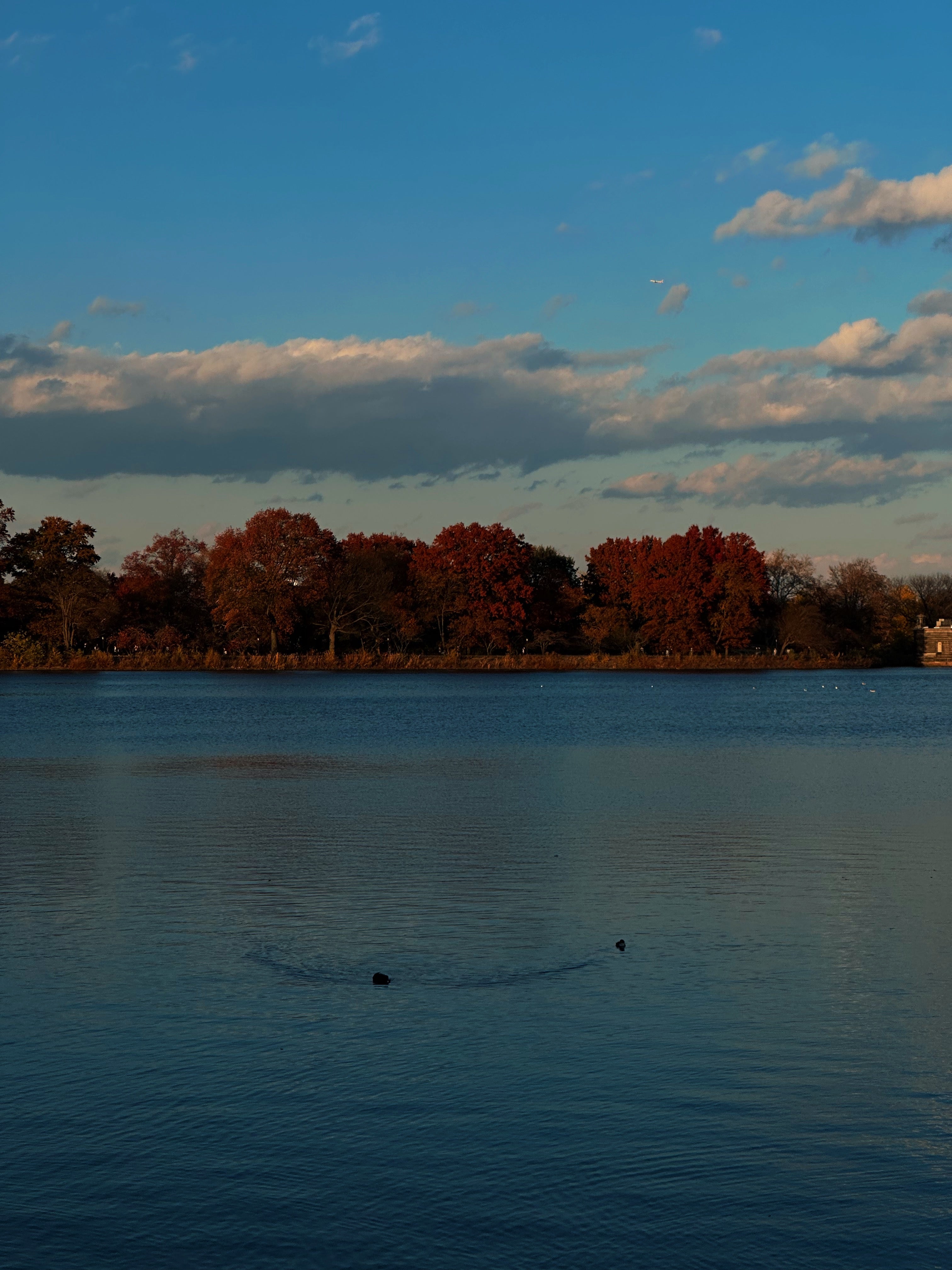 AUTUMN IN NEW YORK