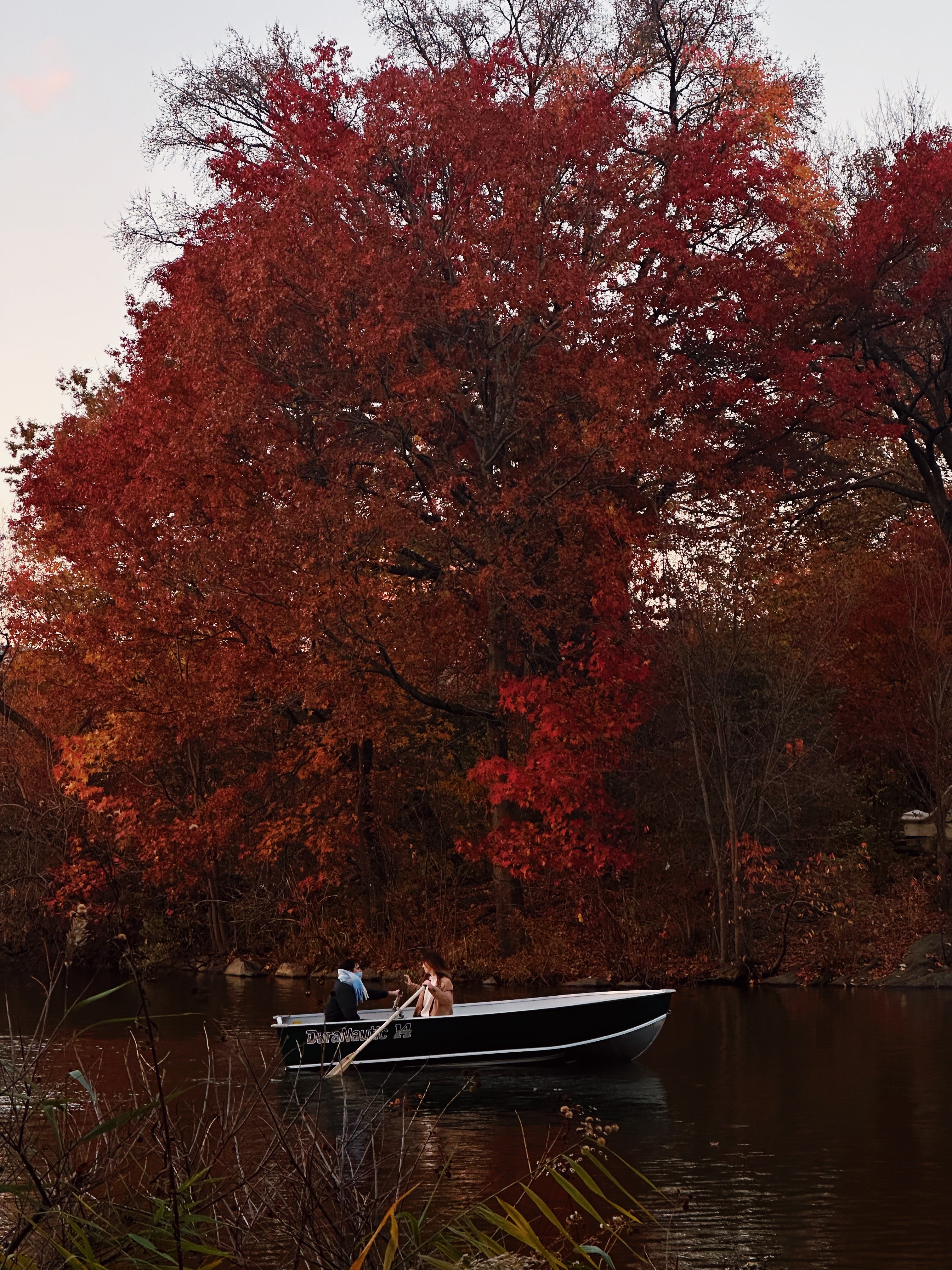 RED AUTUMN