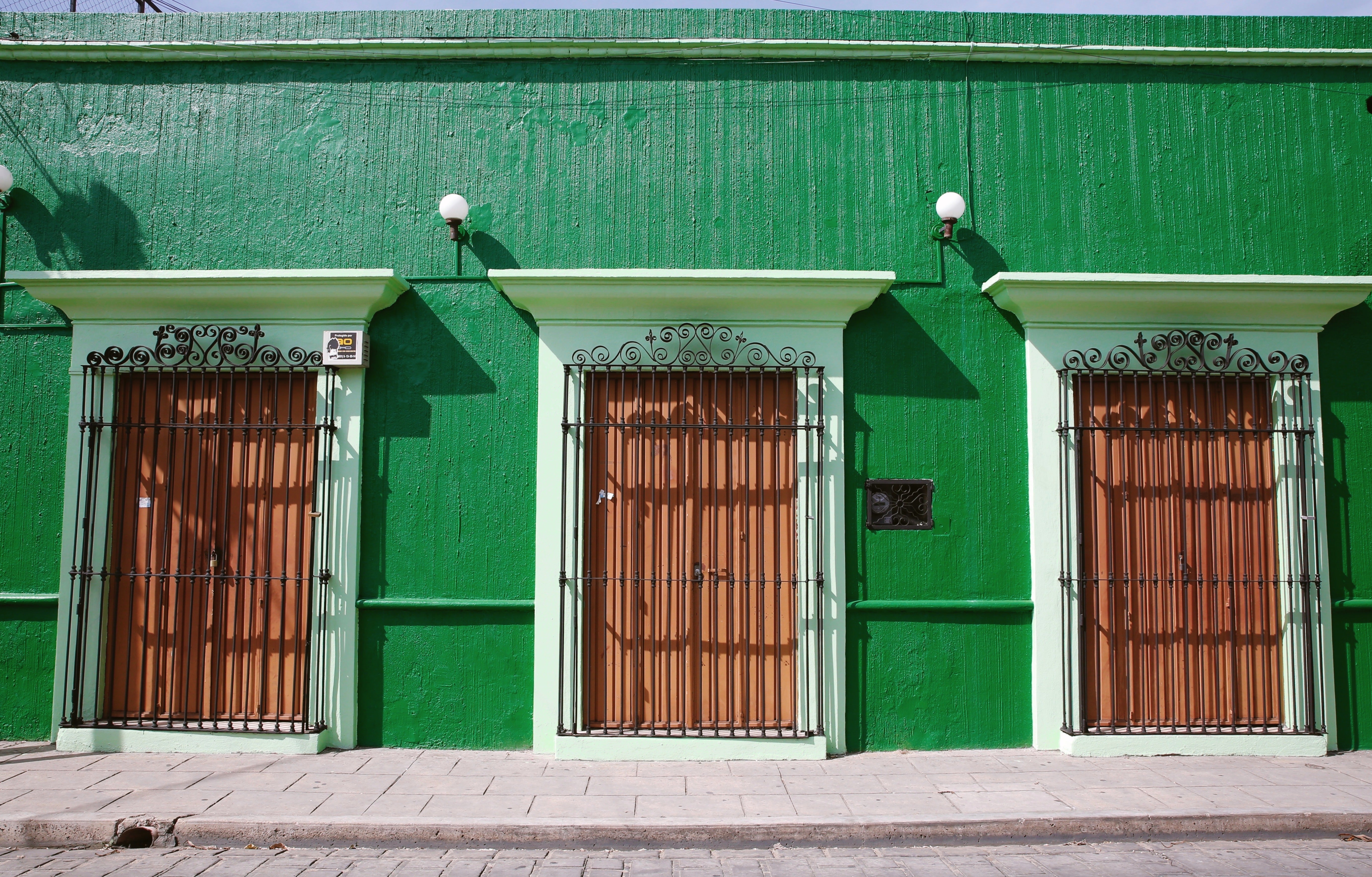 OAXACA VERDE